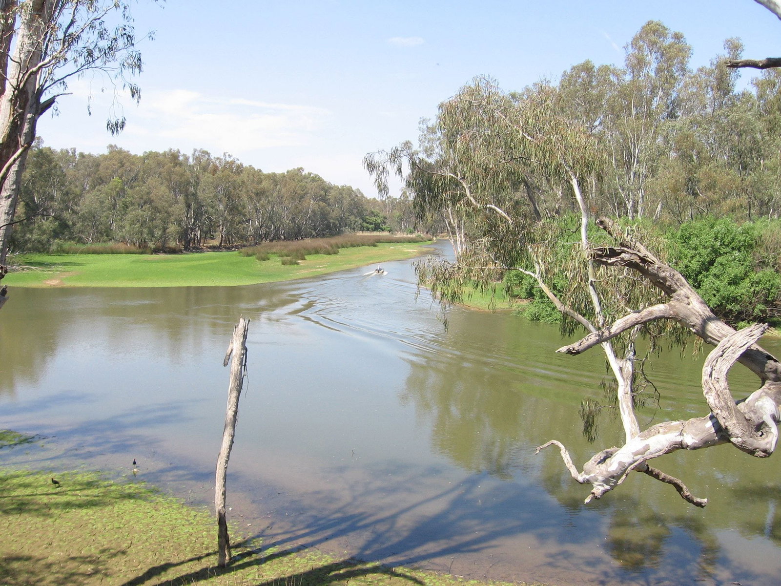 Collendina NSW Hervey Bay Accommodation
