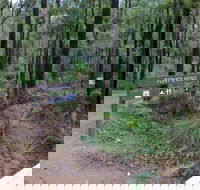 Tonys Bend Campground at Lane Poole Reserve - Hervey Bay Accommodation