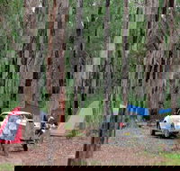 Wallingat River campground - Hervey Bay Accommodation