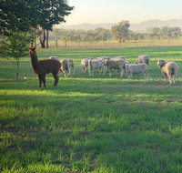 Wallinga Studio Farmstay - Hervey Bay Accommodation