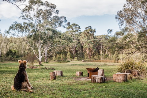Warialda - Hervey Bay Accommodation 1