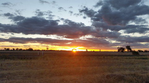 Whispering Pines Farm Stay - Hervey Bay Accommodation 0