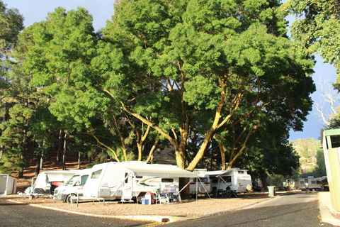 Williamstown Queen Victoria Jubilee Park - Hervey Bay Accommodation 0
