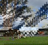 Woodenbong B and B - Tourism Hervey Bay