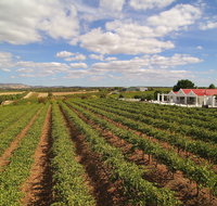 1837 Barossa Luxury Vineyard Cottages - Hervey Bay Accommodation