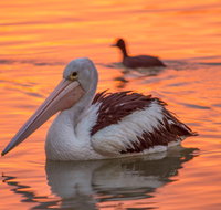 4 Pelican Court - River Shack Rentals - Hervey Bay Accommodation