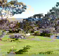 Austiny Bed and Breakfast - Hervey Bay Accommodation