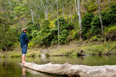 Bass Lodge - Hervey Bay Accommodation 0