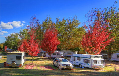 Beechworth Lake Sambell Caravan Park - Hervey Bay Accommodation 0