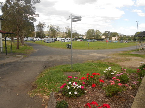 Berry Showground Camping - Hervey Bay Accommodation 1