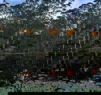 Billabong Retreat - Hervey Bay Accommodation