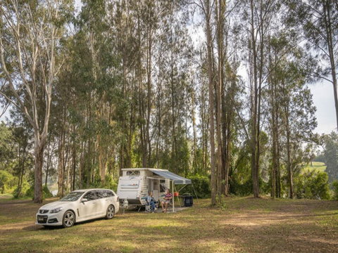 Cattai Campground - Hervey Bay Accommodation 1