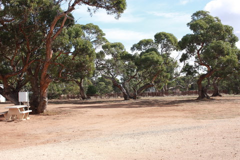 Cleve Showgrounds RV Park - Tourism Hervey Bay 1