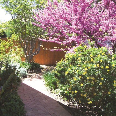 Country Gardens Motor Inn - Hervey Bay Accommodation 1