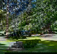 Dingo Tops campground - Hervey Bay Accommodation