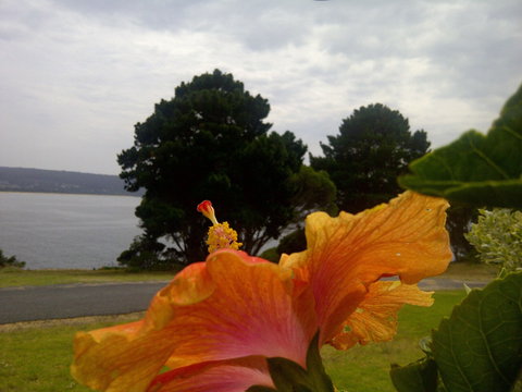 Eden Oceanview - Hervey Bay Accommodation 1