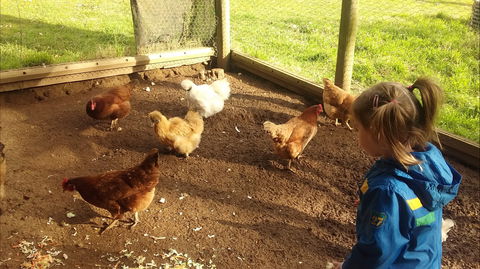 Emerald Park Holiday Farm - Hervey Bay Accommodation 2