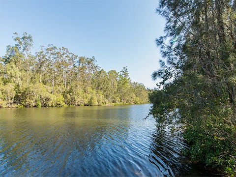 Ferny Creek Campground - Hervey Bay Accommodation 1