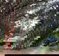 Fernleigh Accommodation - Hervey Bay Accommodation