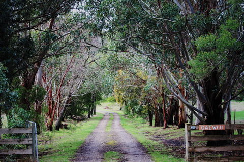 Galwiji Homestead - Tourism Hervey Bay 1