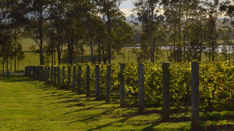 H Boutique Hotel - Tourism Hervey Bay 0