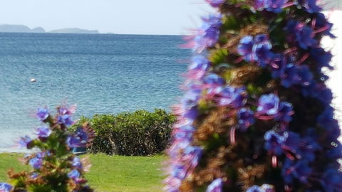 Rock Lobster - Hervey Bay Accommodation 2