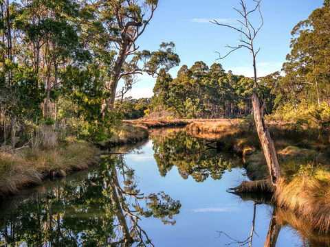 Saintys Creek Cottage - Hervey Bay Accommodation 1