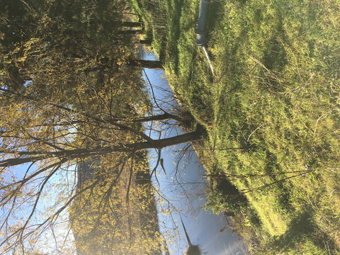 The Old Dairy At Baerami - Hervey Bay Accommodation 1