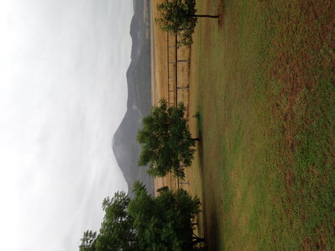 The Old Dairy At Baerami - Hervey Bay Accommodation 2