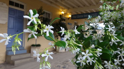 The Globe Inn - Hervey Bay Accommodation 1