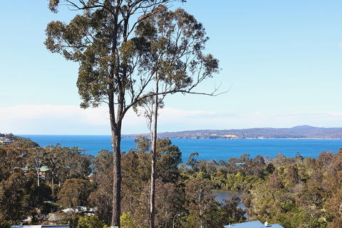 Whale Cove - Hervey Bay Accommodation 0