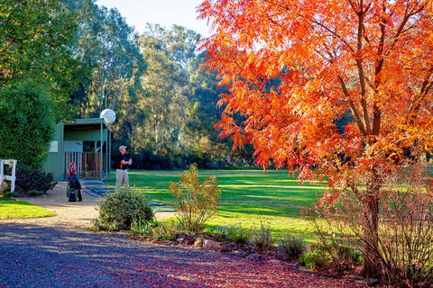 Airtree Golfers Resort - Tourism Hervey Bay 0