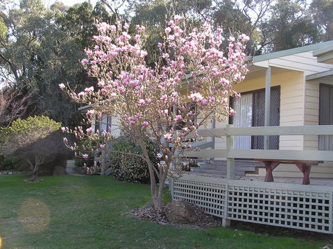 Annies Holiday Units - Hervey Bay Accommodation 0