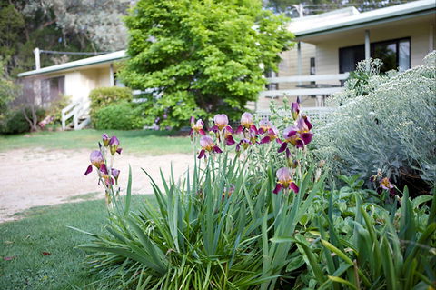 Annies Holiday Units - Hervey Bay Accommodation 2