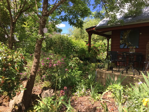 Artscape Cottage Beechworth - Hervey Bay Accommodation 2