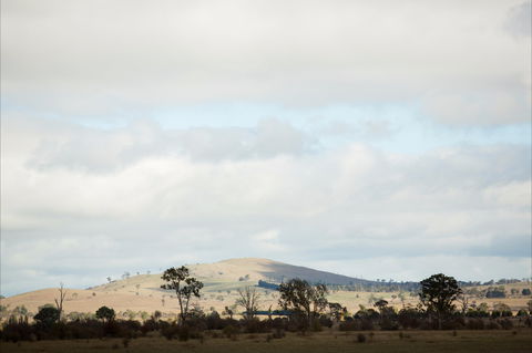 Aurelias Farm Bed And Breakfast - Hervey Bay Accommodation 1