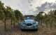 Birches Bed And Breakfast Mudgee - thumb 2