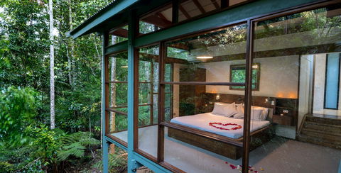 Crystal Creek Rainforest Retreat - Hervey Bay Accommodation 2