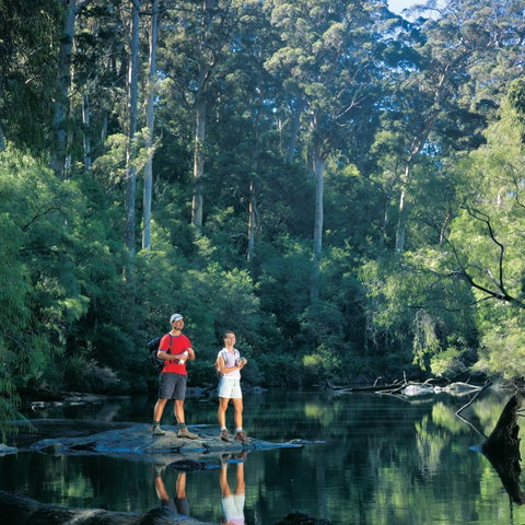 Drafty's Camp At Warren National Park - Hervey Bay Accommodation 0