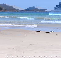 Eagles Rise Tasmania - Hervey Bay Accommodation