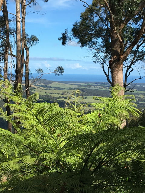 Escarpment - Hervey Bay Accommodation 0