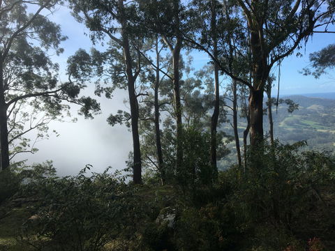 Escarpment - Hervey Bay Accommodation 2