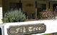 Figtree Cottage - thumb 0