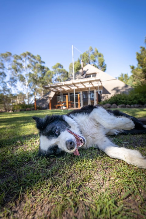 Grampians Getaway - Hervey Bay Accommodation 0