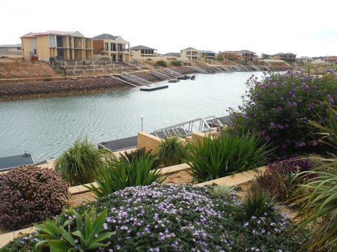 Happy Gilmore - Hervey Bay Accommodation 0
