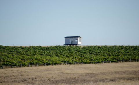 Hounds Run Vineyard - Hervey Bay Accommodation 0