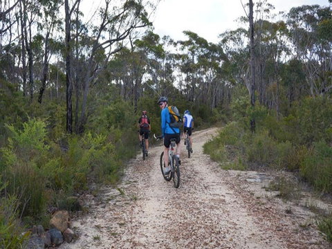 Ingar Campground - Hervey Bay Accommodation 0