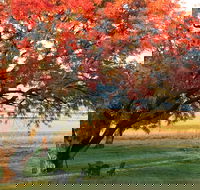 Little Kickabell Country Homestead - Hervey Bay Accommodation