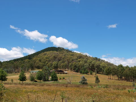 Mad On The Buckland - Hervey Bay Accommodation 1