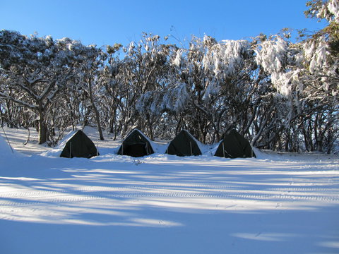 Mt Stirling Alpine Winter Camp - Hervey Bay Accommodation 1